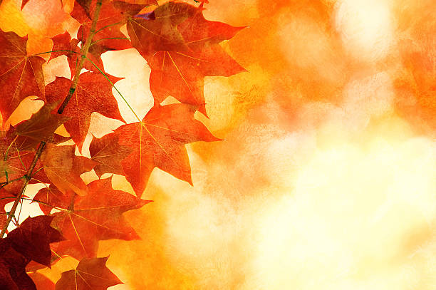 Grunge artistic background with autumn leaves. Perfect vintage fall texture.