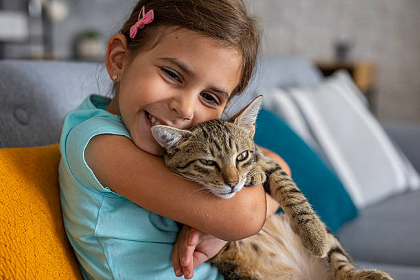 istock A smiling little girl happily hugging her tabby cat while sitting on a cozy sofa at home 2236863564