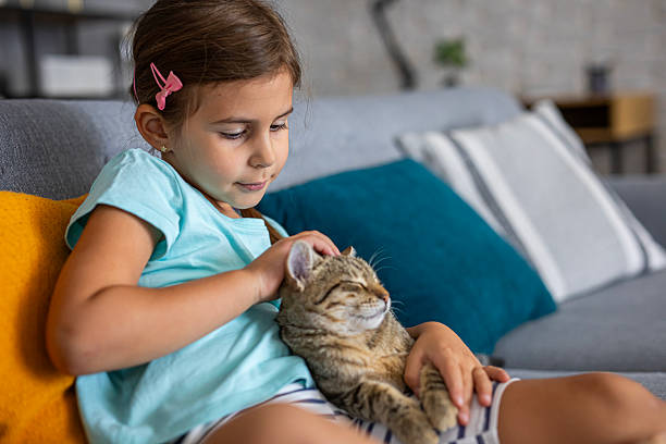 istock Happy kid spending quality time with her domestic cat in a cozy home setting 2236863603