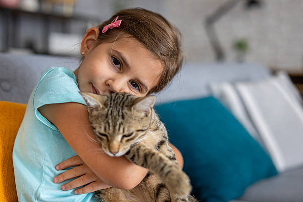 istock Happy kid spending quality time with her domestic cat in a cozy home setting 2236863620