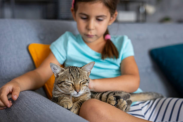 istock Happy kid spending quality time with her domestic cat in a cozy home setting 2236863631