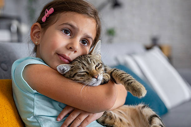 istock Happy kid spending quality time with her domestic cat in a cozy home setting 2236863721