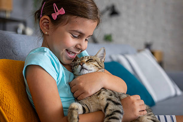 istock Happy kid spending quality time with her domestic cat in a cozy home setting 2236863744