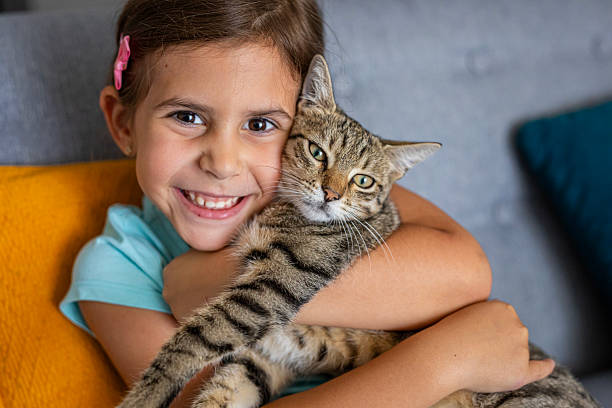 istock Happy kid spending quality time with her domestic cat in a cozy home setting 2236863779