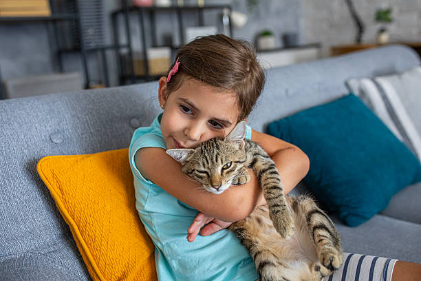 istock Happy kid spending quality time with her domestic cat in a cozy home setting 2236864011