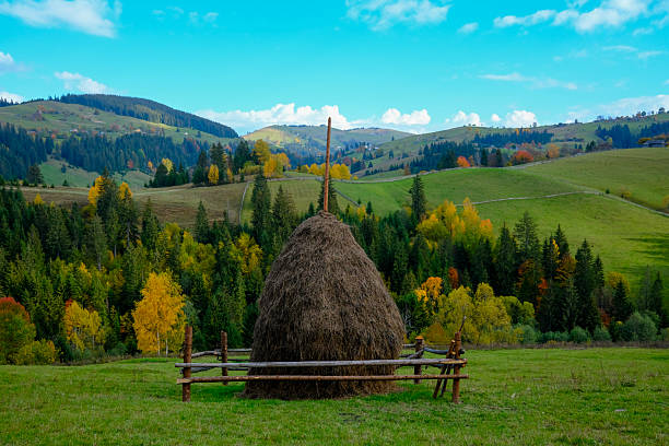 Large haystack surrounded by rustic fence in a green field, with rolling hills and autumn forest under blue sky. Peaceful rural scene perfect for seasonal, nature, or countryside themes.