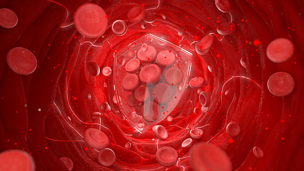 istock Blood cells are grouped together and protected by a shield 2236868420