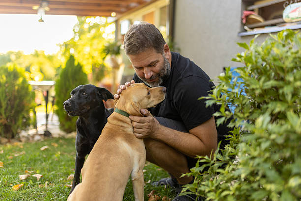 istock Man enjoying time with his dogs in backyard 2236868650