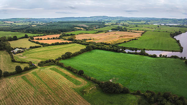 istock Panoramic aerial landscape of Ireland with patchwork fields, hedgerows, woodland, and subtle geometric patterns. 2236869028