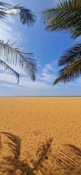 istock tropical sandy beach in Sri Lanka 2236870132