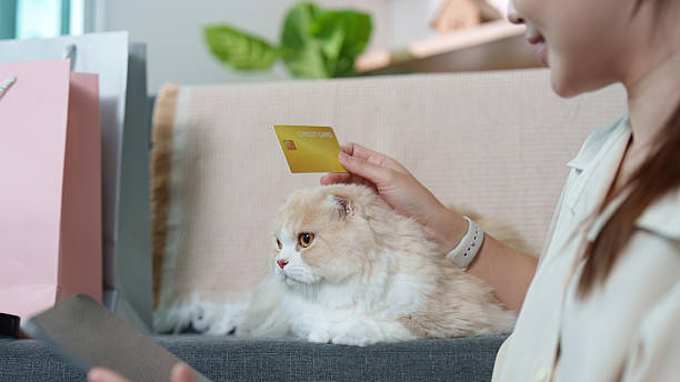 istock Shopping Experience with Cat. Woman using credit card while relaxing with pet cat. 2236873157