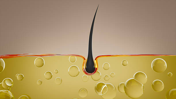 istock A pore embedded in the skin surrounded by yellow sebum bubbles 2236874688