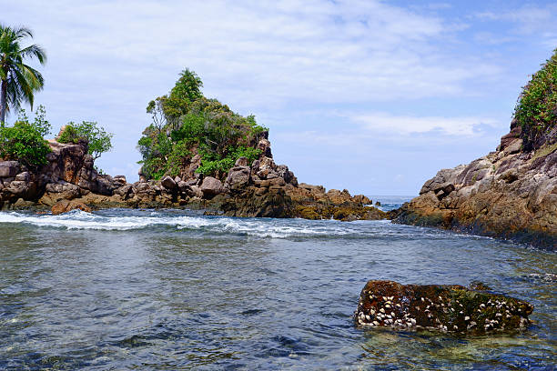 istock Tropical Rocky Shore with Palm Tree and Ocean Waves, West Sumatra Indonesia 2236874876