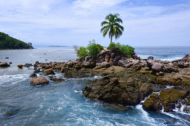 istock Tropical Rocky Shore with Palm Tree and Ocean Waves, West Sumatra Indonesia 2236875779