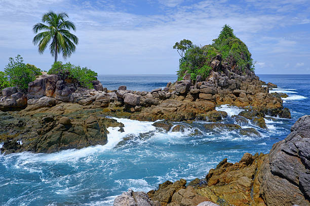 istock Tropical Rocky Shore with Palm Tree and Ocean Waves, West Sumatra Indonesia 2236875781