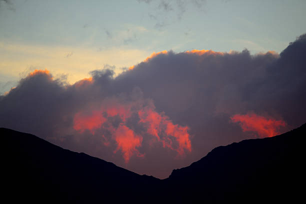 Colors of nature