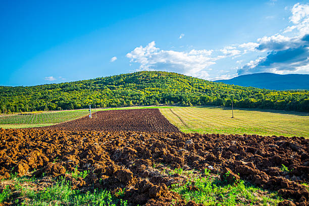 A scenic valley in eastern Serbia with dry grass, green fields, scattered trees, and low forested hills under a partly cloudy blue sky stretching across the peaceful rural landscape.