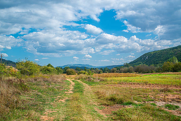 A scenic valley in eastern Serbia with dry grass, green fields, scattered trees, and low forested hills under a partly cloudy blue sky stretching across the peaceful rural landscape.