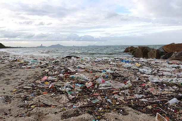 istock Beach Pollution. Stock photo 2236884619
