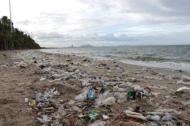 istock Trash on the Beach. Stock photo 2236884649