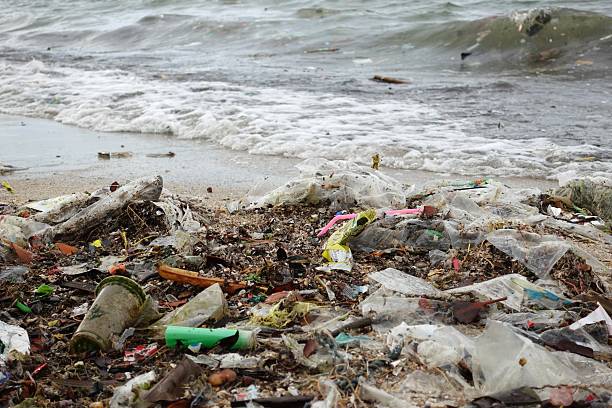 istock Trash and Waves. Stock photo 2236884653