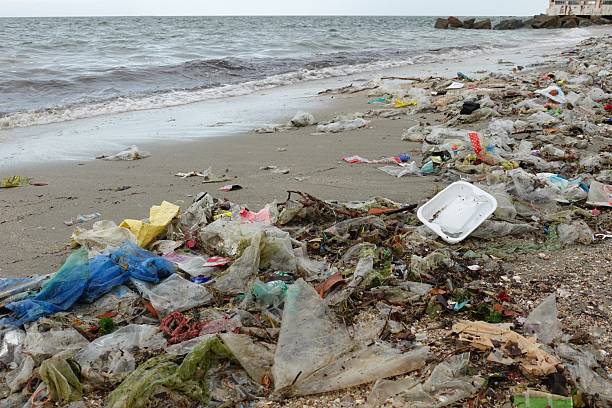 istock Waste on the Shore. Stock photo 2236884691