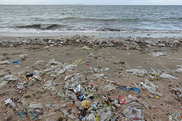 istock Polluted Shoreline. Stock photo 2236884694