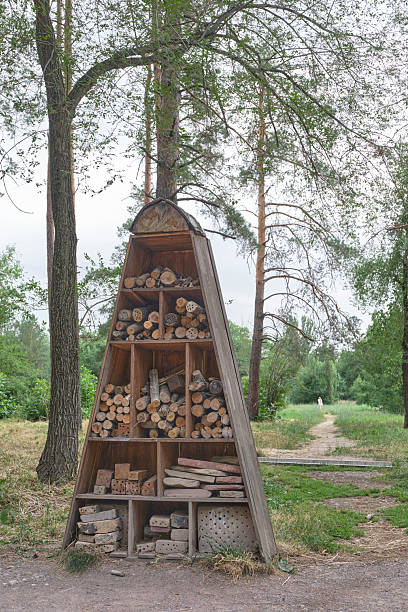 istock Wooden Insect Hotel in Park 2236884903