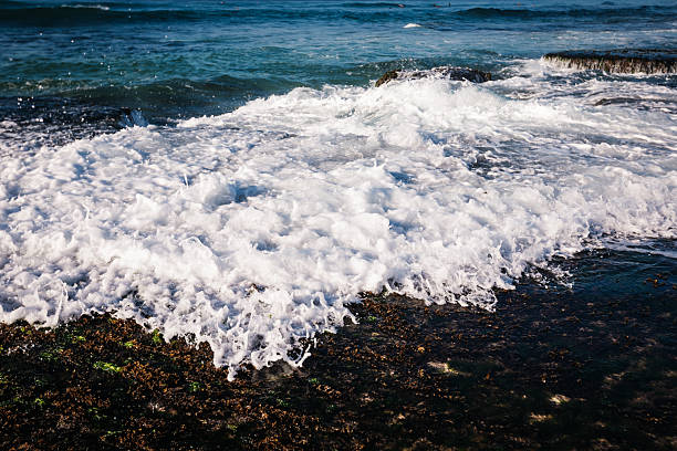 View of sea wave s borken on seaside reef