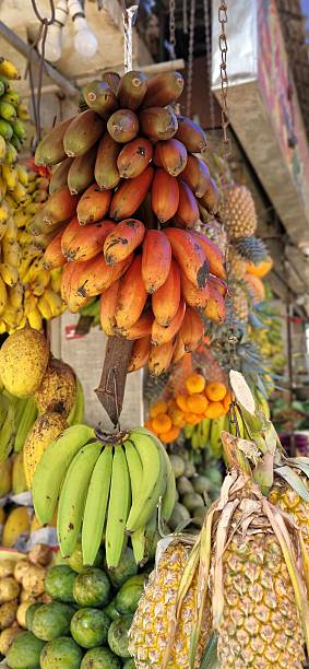 istock mixted tropical fruits 2236888617