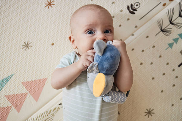 Baby chewing on a soft toy while looking up at the camera