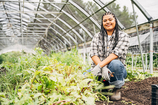 istock Diverse farmers working in greenhouse with herb plants 2236897751