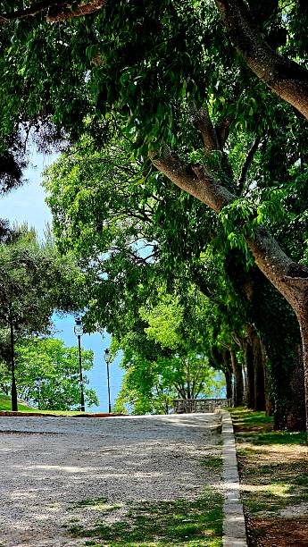 istock Path to the Adriatic Sea in Rovinj 2236899276