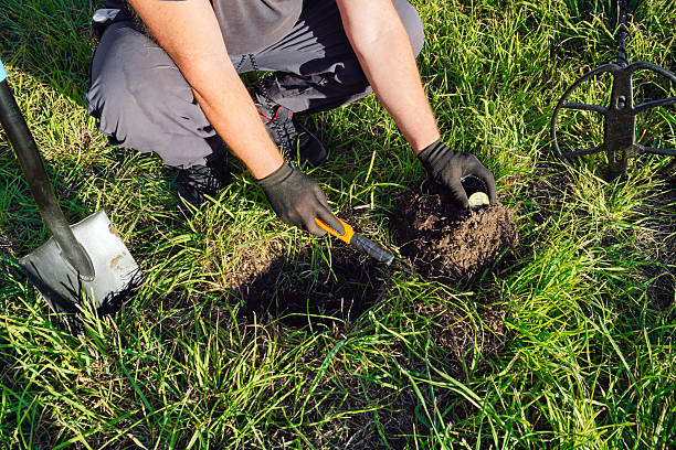 istock A person kneels on the grass, using a small tool to carefully dig in the ground while searching for buried items. Nearby, a metal detector rests on the grass, hinting at a treasure hunt 2236902445