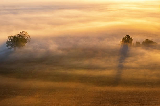 istock Aerial view at a sunrise with mist and treetops 2236903177