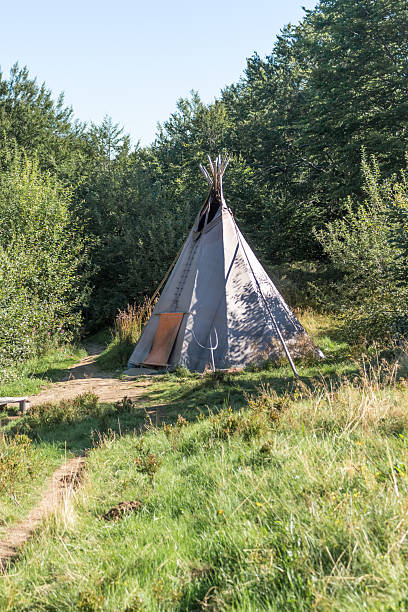 istock Wigwam in a clearing 2236905704