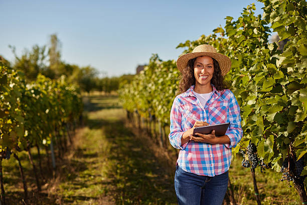 Woman farmer checking grape quality in vineyard with tablet