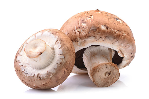 istock Champignon mushrooms on a white background 2236906285
