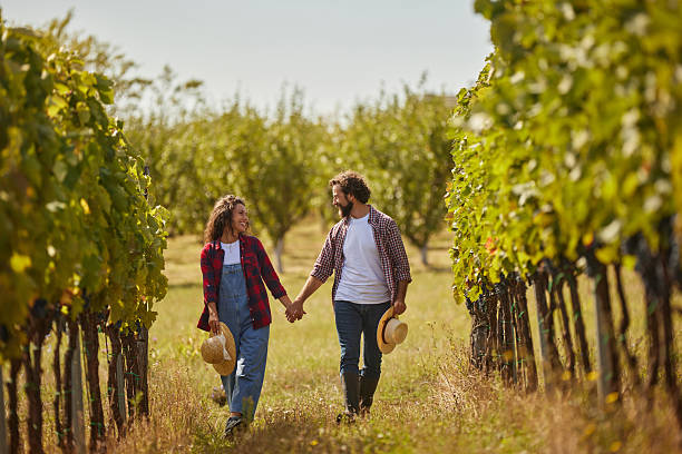 istock Couple walking hand in hand through vineyard rows 2236907517