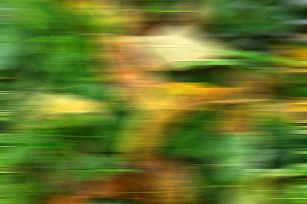 background with blurred autumnal painted leaves