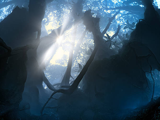 istock Mystery forest with mist and roots, chiaroscuro light and hidden world atmosphere 2236907628