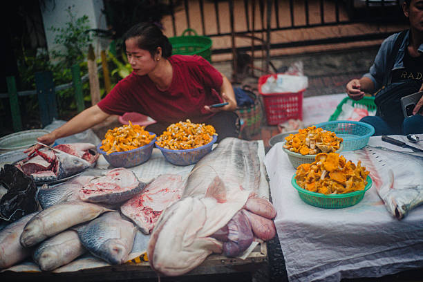 Fresh river fish and mushrooms being sold at the morning market in Luang Prabang; September 2025
