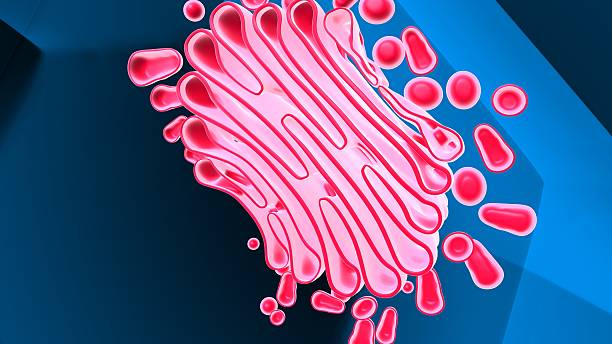 digital illustration on the subject of science, medicine and biology