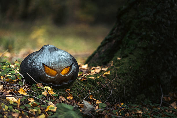 A sinister black pumpkin carved with sharp eyes and a jagged mouth, glowing orange from within. Placed in a dim, misty outdoor scene to evoke spooky Halloween mood.