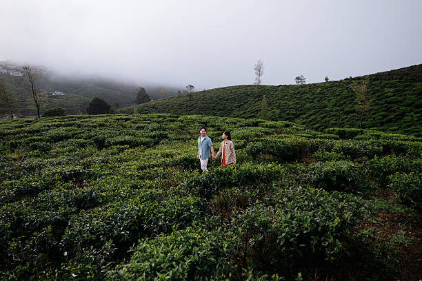 istock Couple Walking Through Scenic Tea Plantation 2236915691