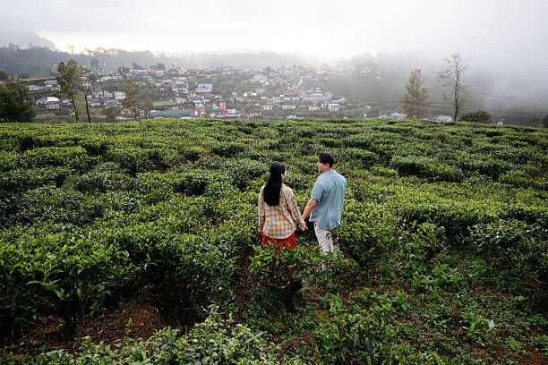 istock Couple Walking Through Scenic Tea Plantation 2236915714