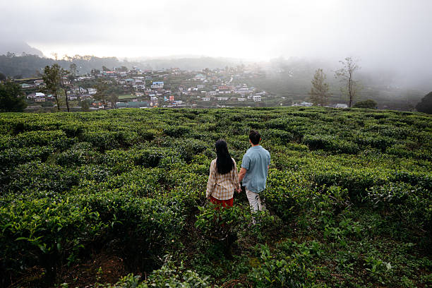 istock Couple Walking Through Scenic Tea Plantation 2236915724