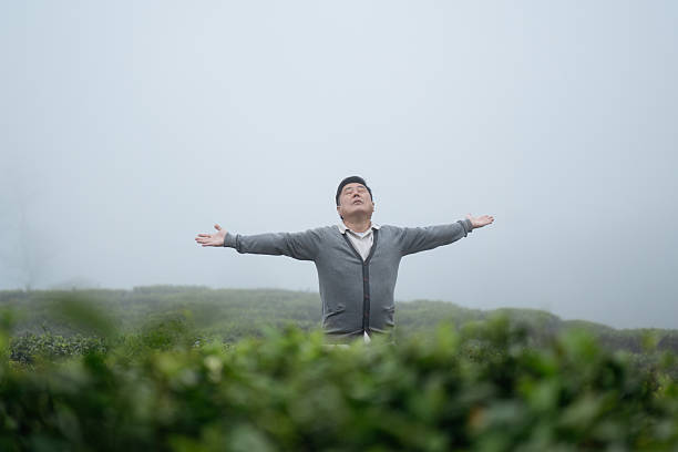 A man enjoys the serene atmosphere of a misty tea plantation, standing among the green foliage with arms wide open. The foggy background and natural environment reflect peaceful rural travel, early morning exploration, and authentic cultural landscapes.