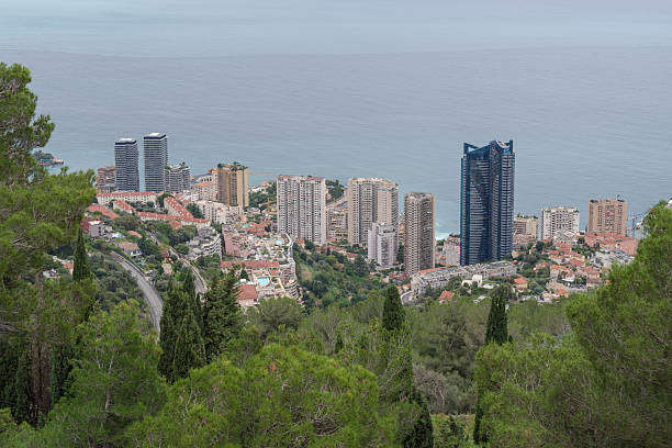 Top view on Nice, mountains, buildings, sea