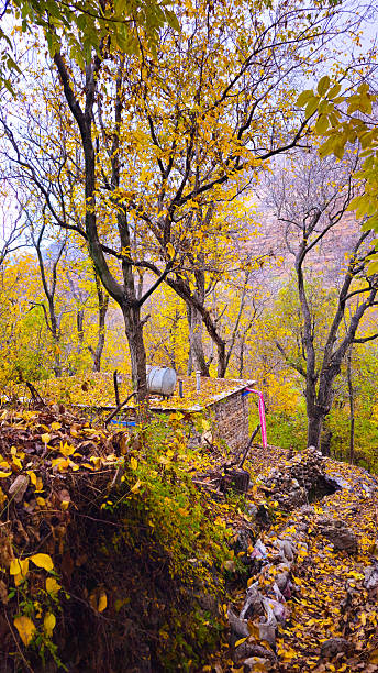 A small stone hut with a leaf-covered roof sits among yellow autumn trees, with a mountain backdrop in a peaceful garden setting.Kamalla village, Hawraman Takht